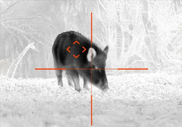Thermal Imaging Scopes: The Complete Gui