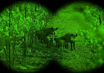 Why INGJIE Optics Night Vision