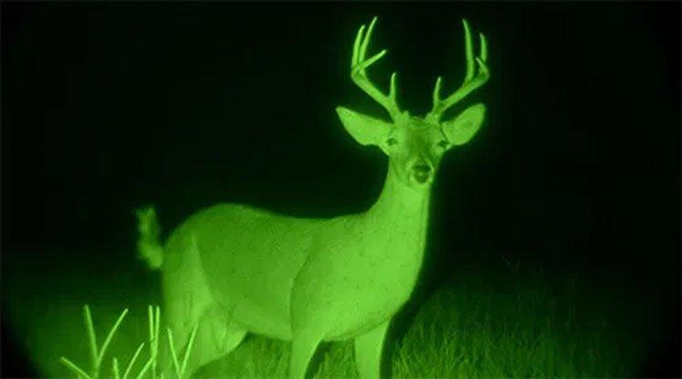Why INGJIE Optics Night Vision Devices Are Trusted for Professional Outdoor Observation and Security(pic2)