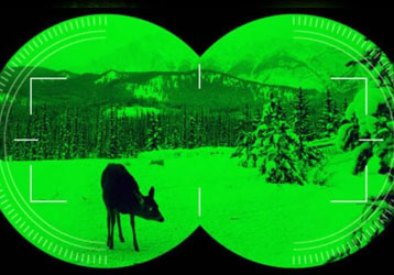 Night Vision vs Thermal Imagin