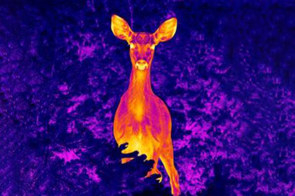 How Thermal Imaging Scopes Improve Detection in Challenging Environments(pic1)
