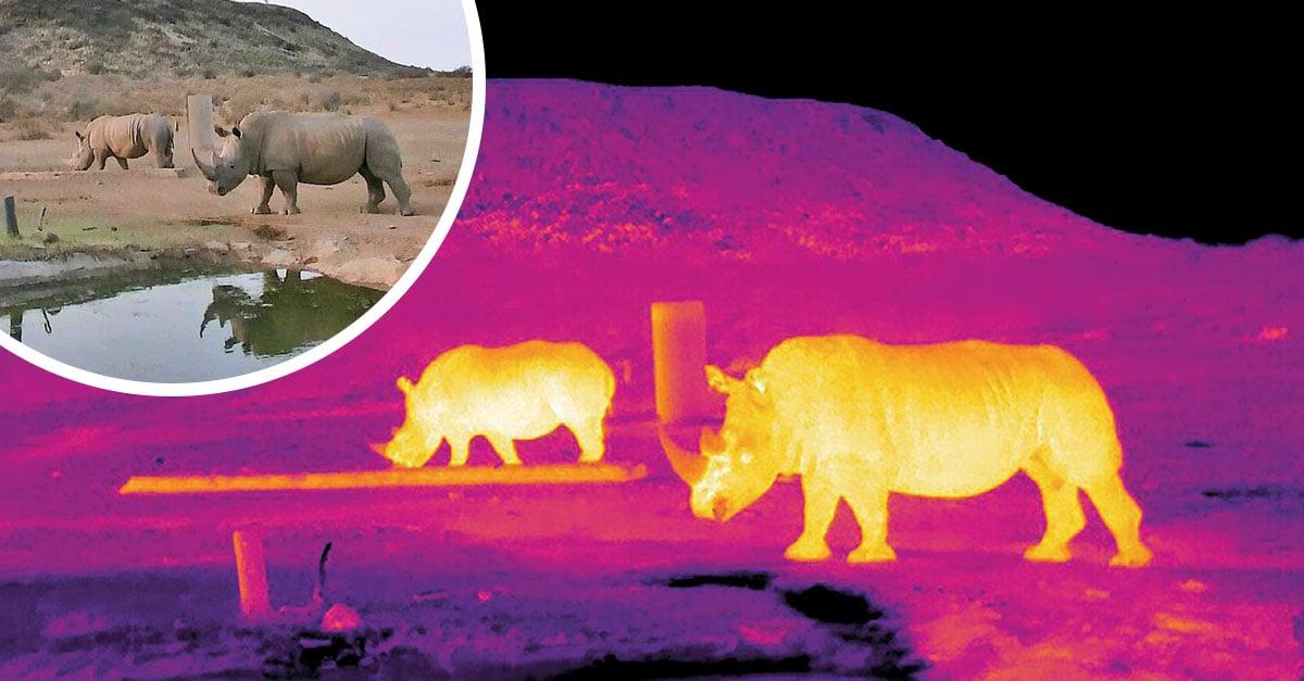 Thermal Imaging Scopes for Wildlife Monitoring and Conservation(pic2)