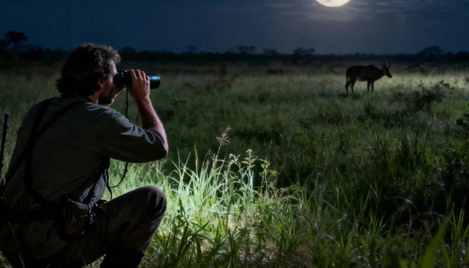 Why the INJIE Digital Night Vision Camera Is Ideal for Wildlife Observation and Nature Photography(pic1)