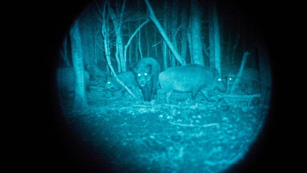 INJIE Optics Hunting Night Vision Devices: See Clearly in Total Darkness for Every Hunting Adventure(pic3)