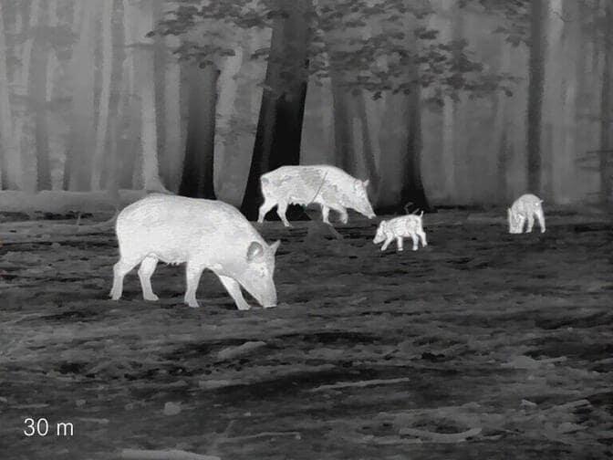 How INJIE Optics Night Vision Devices Improve Hunting Accuracy and Safety(pic8)