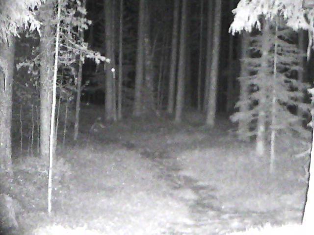 How INJIE Optics Night Vision Devices Improve Hunting Accuracy and Safety(pic3)