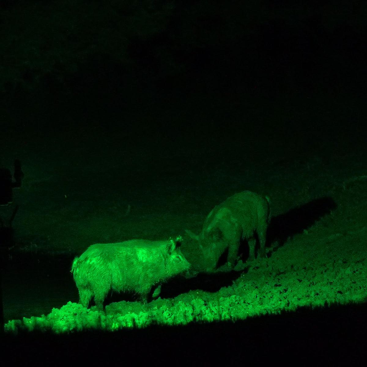 How INJIE Optics Night Vision Devices Improve Hunting Accuracy and Safety(pic4)