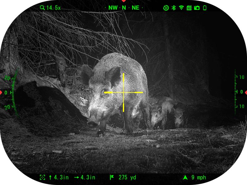 Why Choose INJIE Optics Night Vision Devices for Wild Boar Hunting?(pic2)