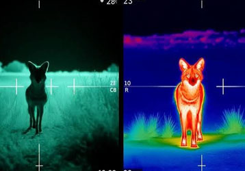 Thermal Riflescope for Hunting: How Ther
